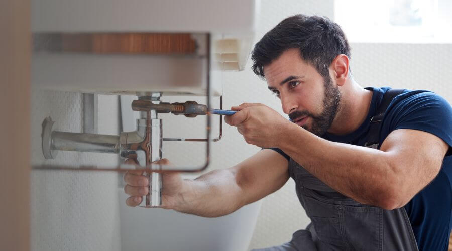 Trap Repair/Replacement in Concord, MI